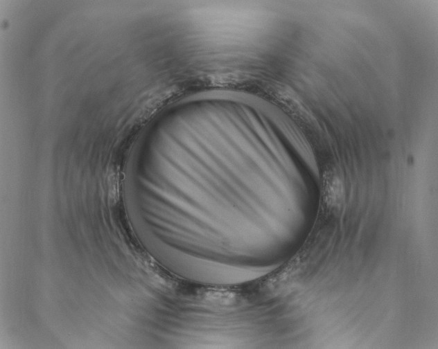 X0000088450471200706121443