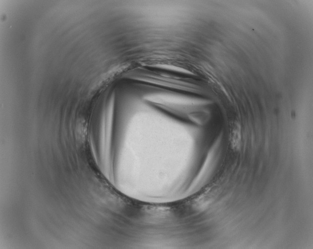 X0000088450476200706121443