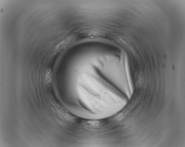 X0000088450478200706121443
