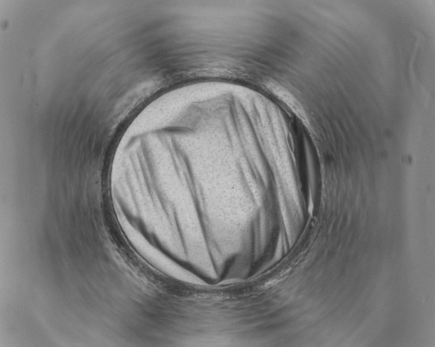 X0000088450482200706121443