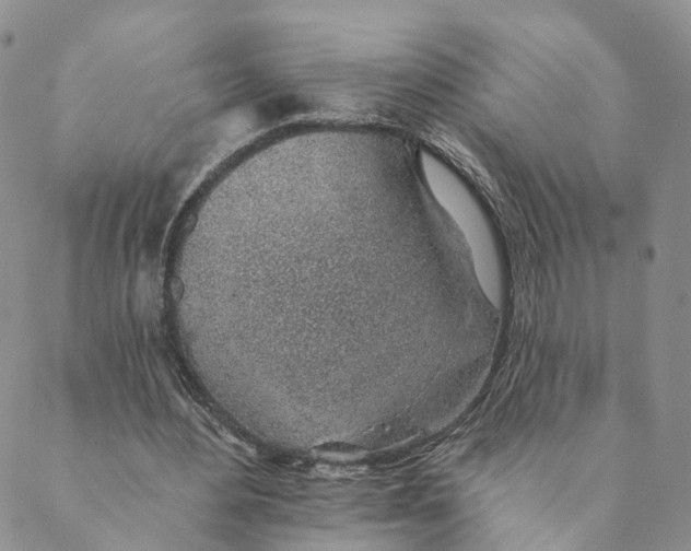 X0000088450484200706121443