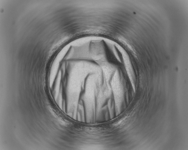 X0000088450486200706121443