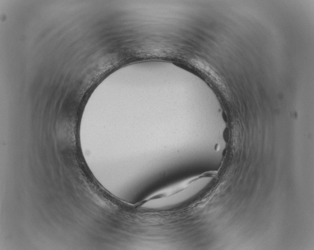 X0000088450489200706121443