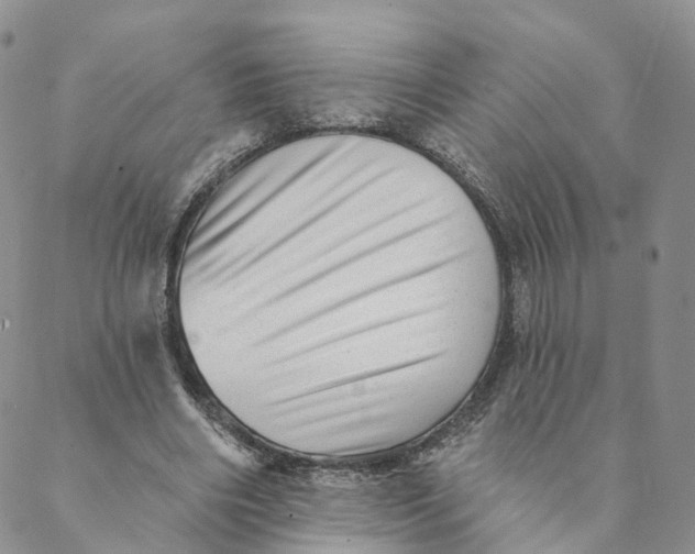 X0000088450490200706121443