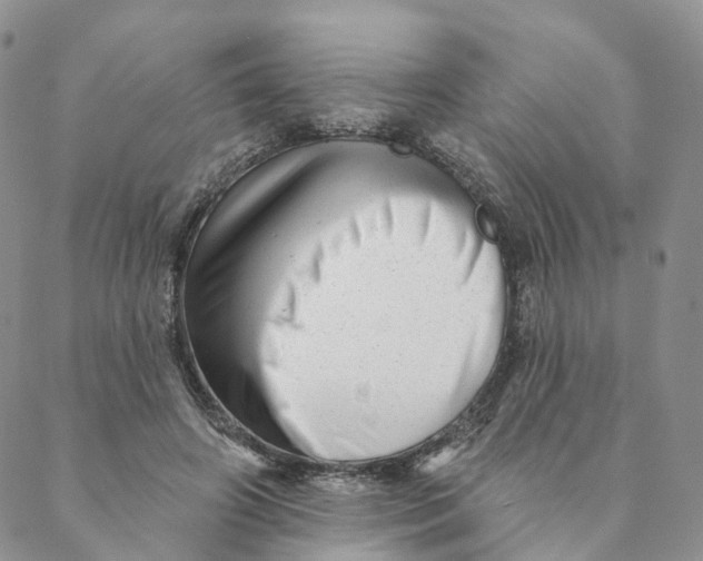 X0000088450498200706121442