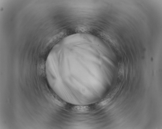 X0000088450526200706121442