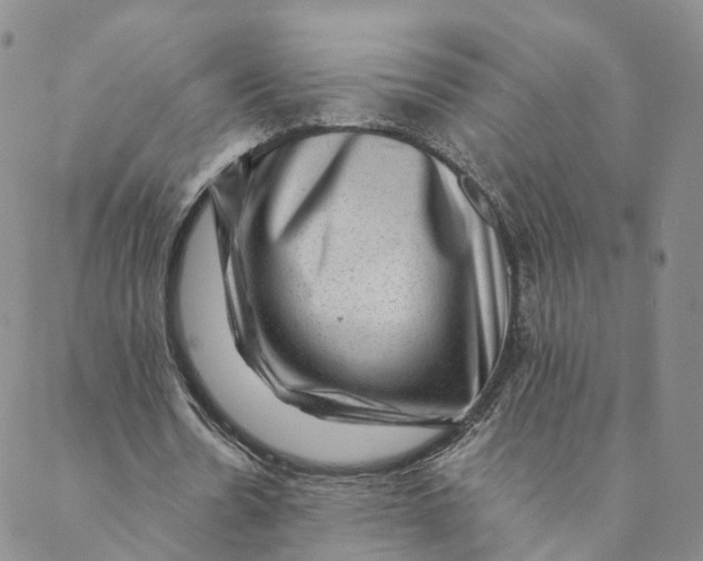 X0000088450530200706121441