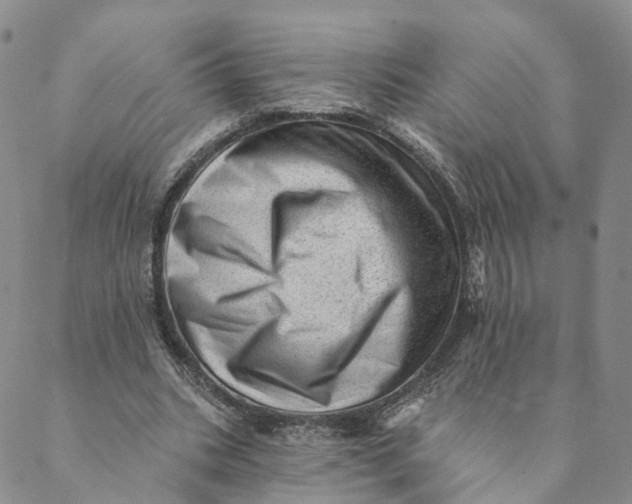 X0000088450535200706121441