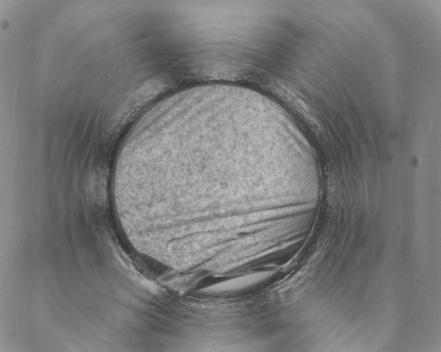 X0000088450537200706121441