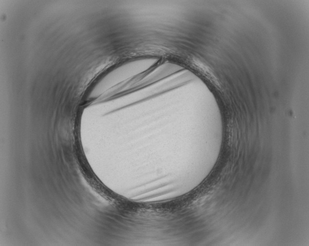 X0000088450538200706121441