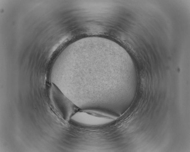X0000088450539200706121441