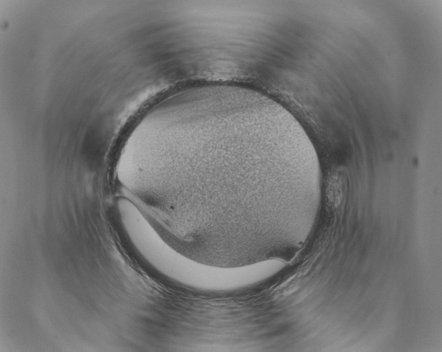 X0000088450540200706121441