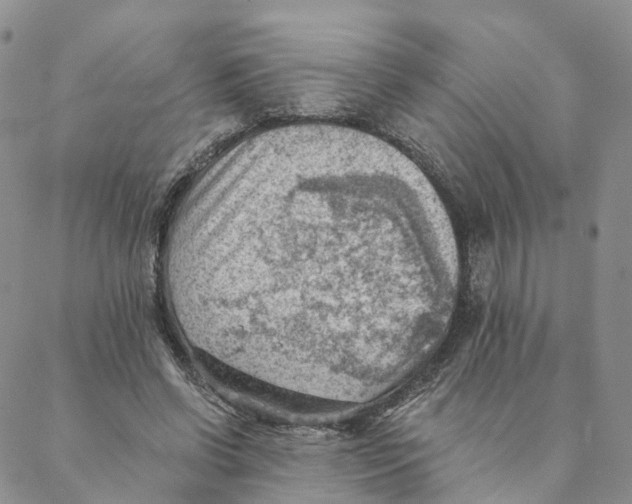 X0000088450542200706121441