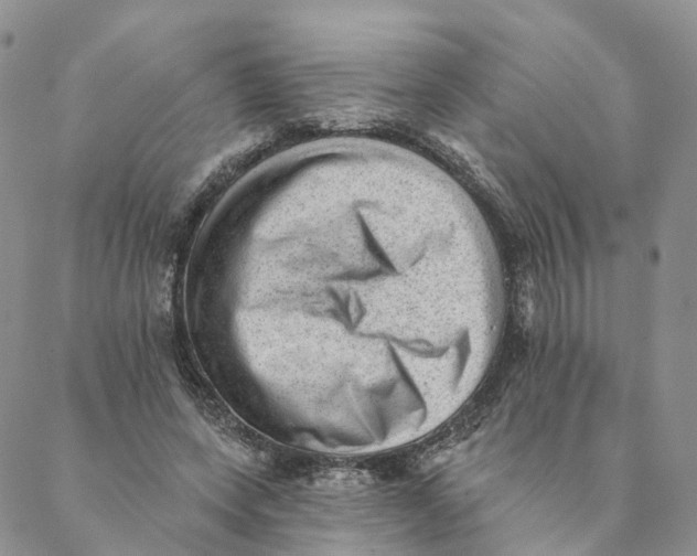 X0000088450543200706121441