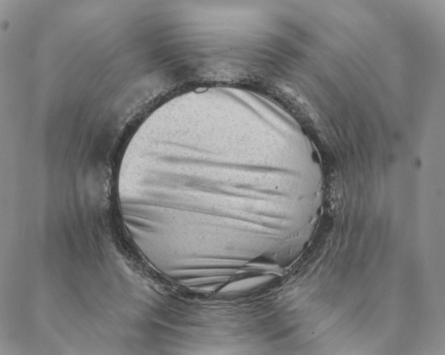 X0000088450544200706121441