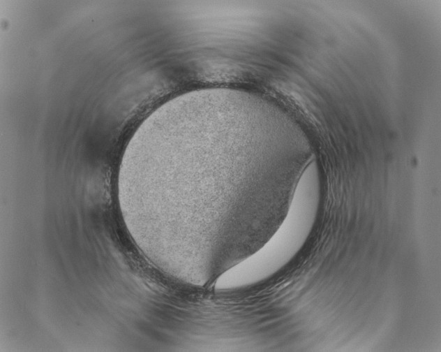 X0000088450547200706121441