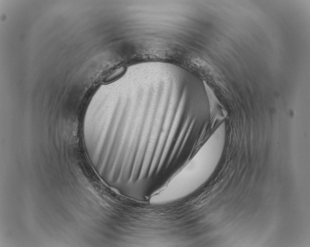 X0000088450548200706121441