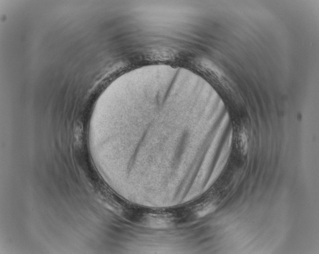 X0000088450556200706121442