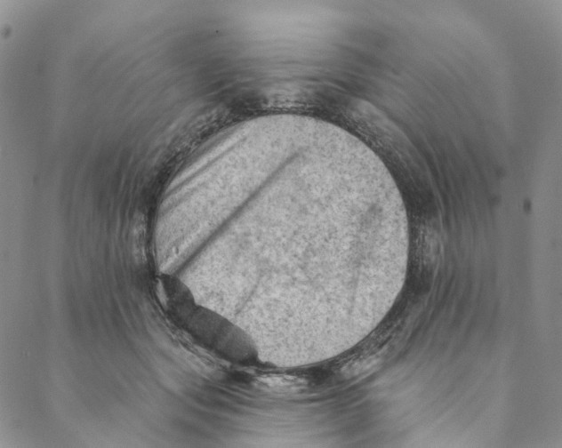 X0000088450557200706121442