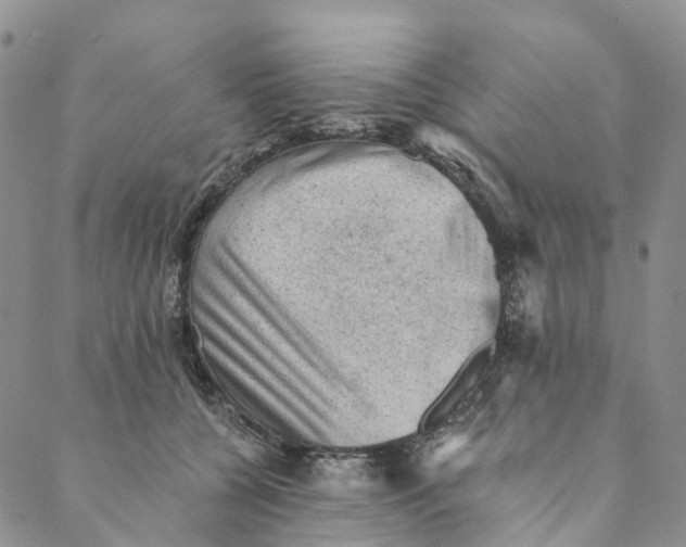 X0000088450560200706121442