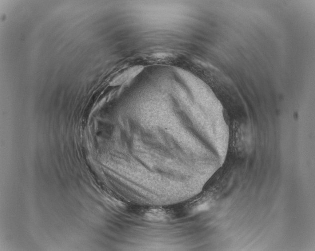 X0000088450562200706121442