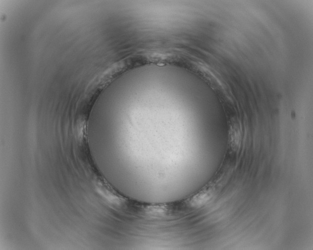 X0000088450574200706121442