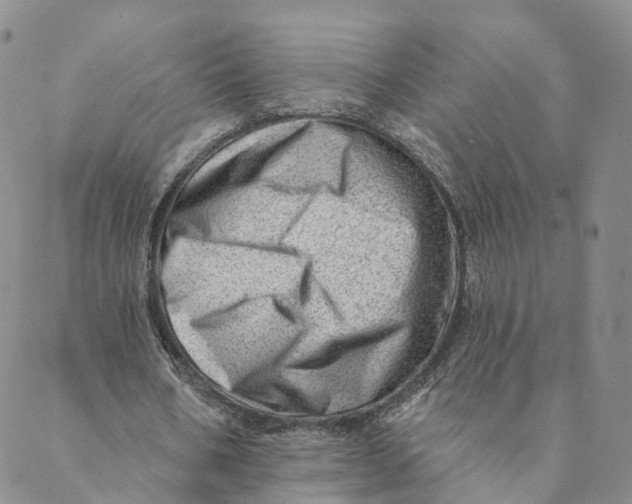 X0000088450578200706121441