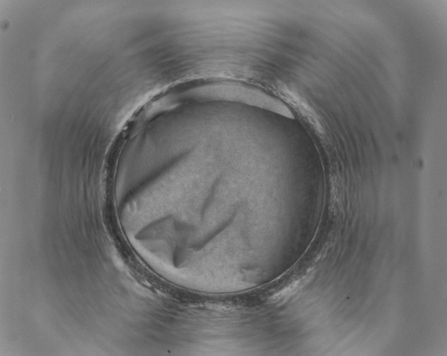 X0000088450580200706121441