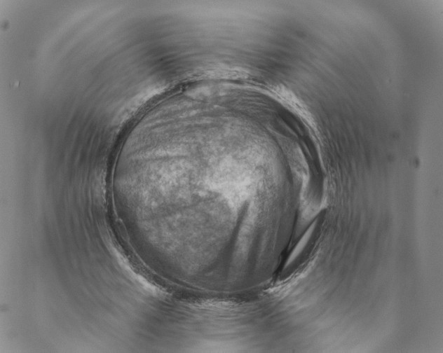 X0000088450581200706121441