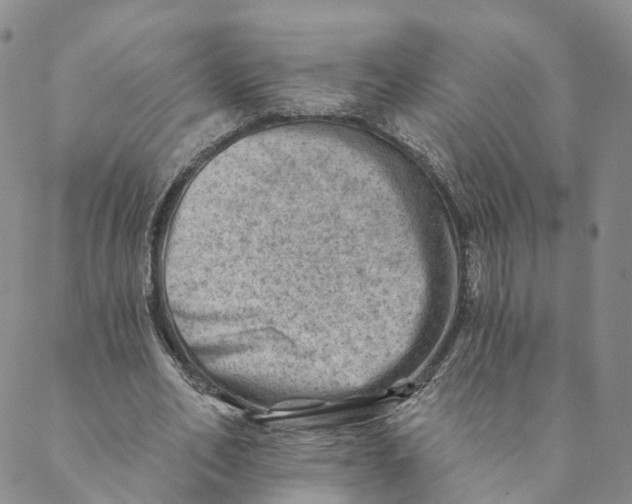 X0000088450582200706121441