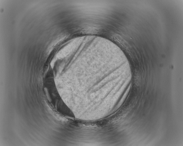 X0000088450586200706121441
