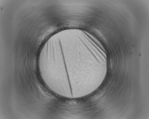 X0000088450588200706121441