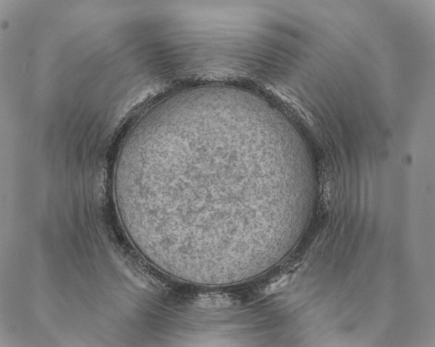 X0000088450591200706121441
