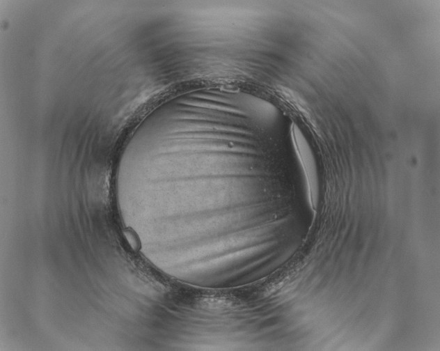 X0000088450596200706121441