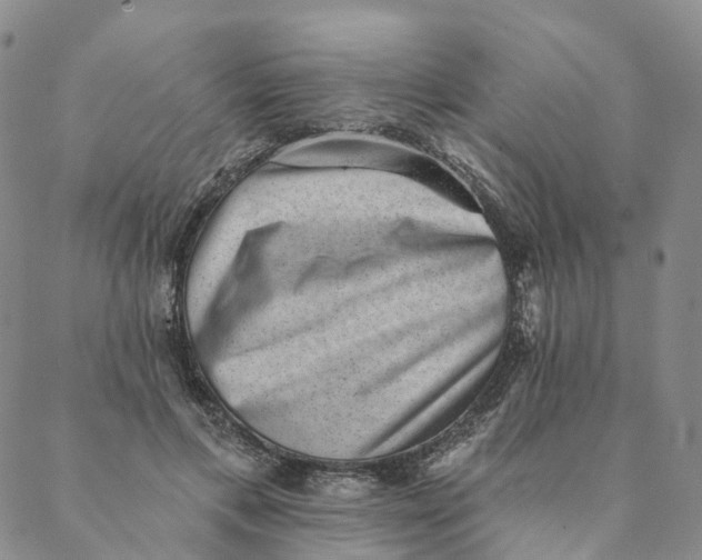 X0000088450597200706121441