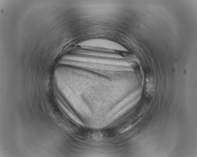 X0000088450600200706121441