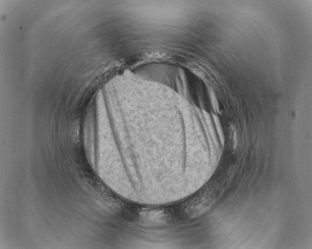 X0000088450602200706121441