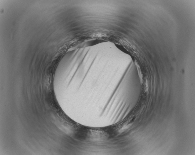 X0000088450605200706121441
