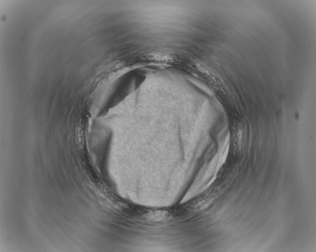 X0000088450609200706121441