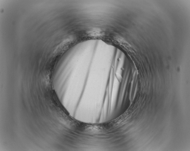 X0000088450611200706121441