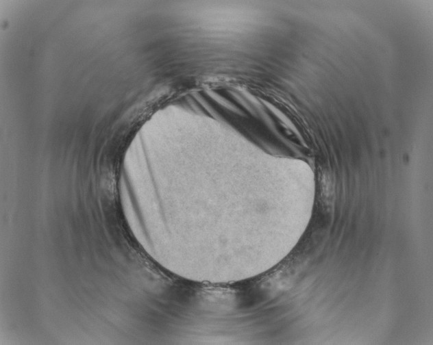 X0000088450617200706121440