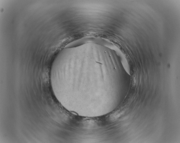 X0000088450620200706121440