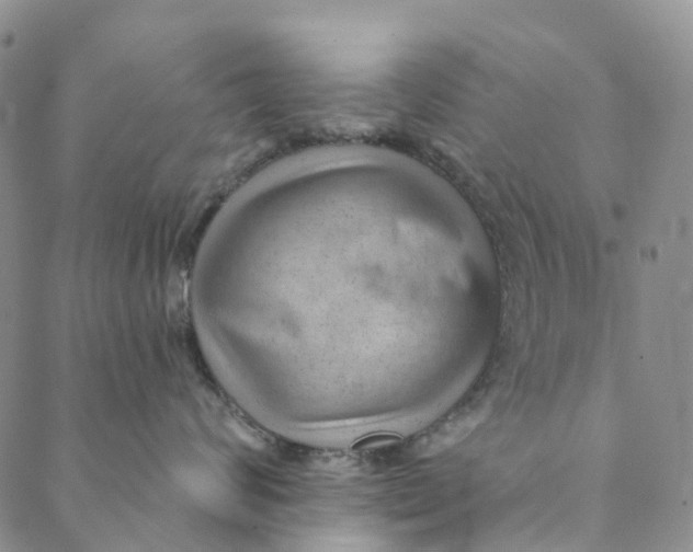 X0000088450624200706121440