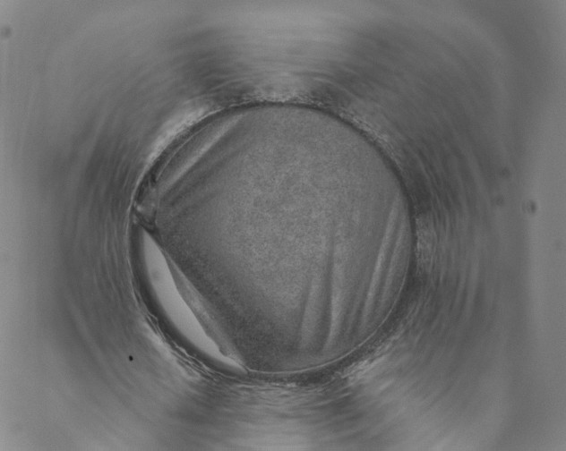 X0000088450626200706121440