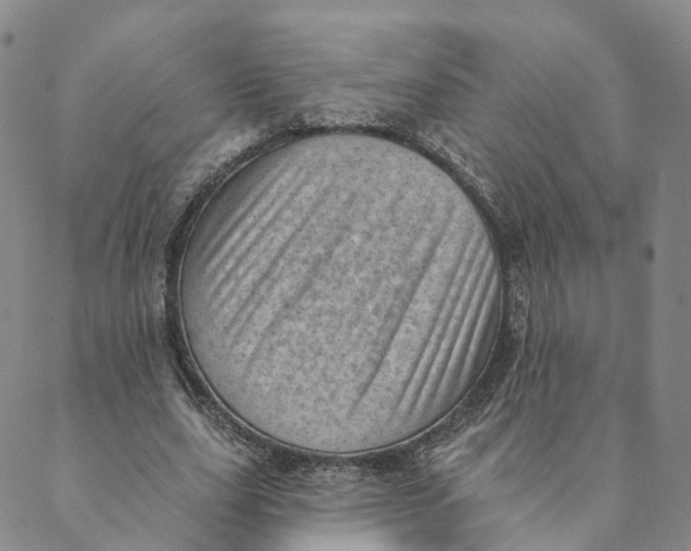 X0000088450631200706121440