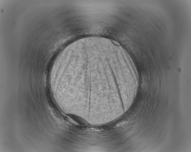 X0000088450636200706121440