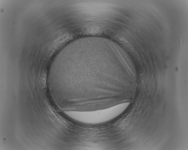 X0000088450640200706121440