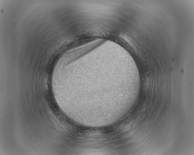 X0000088450643200706121440