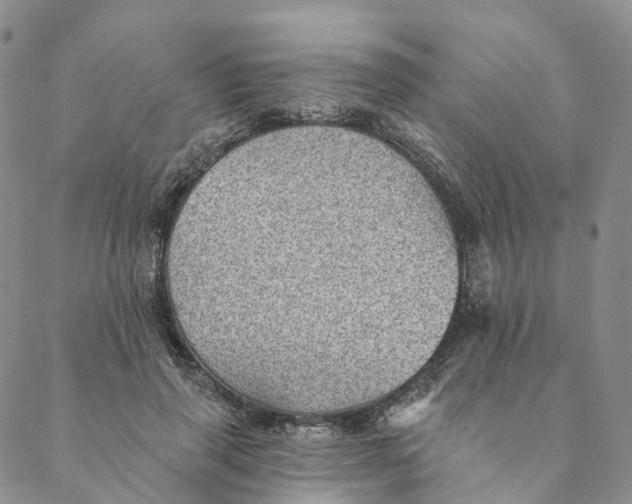X0000088450645200706121440