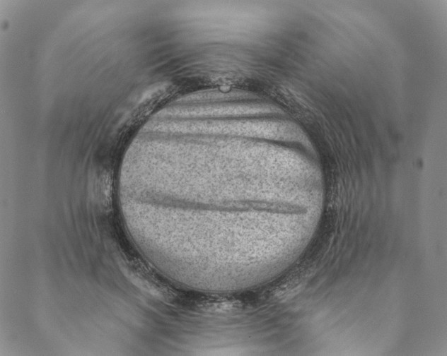 X0000088450646200706121440
